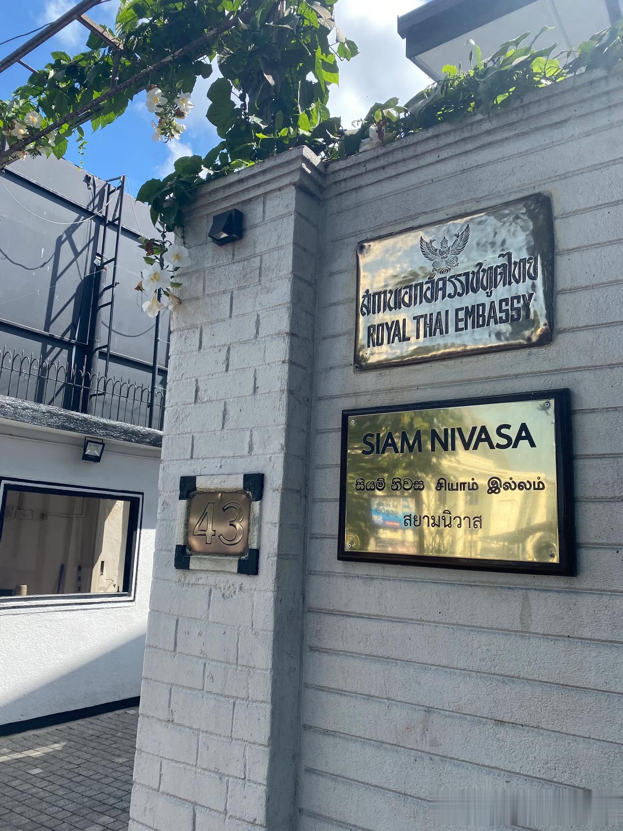 今天是在斯里兰卡能光明正大逛泰国大使馆的一天，一个月一次的泰国大使馆开放日，都是