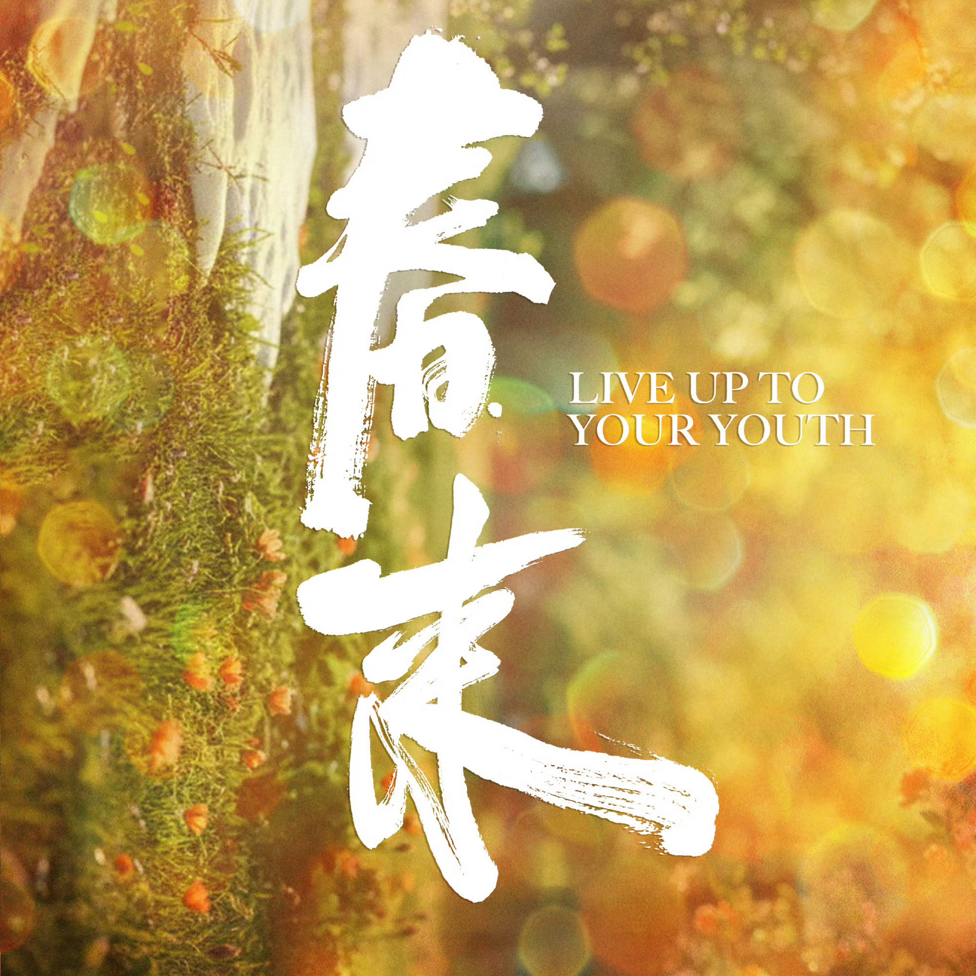 白宇章若楠年代剧适配度 白宇的徐胜利，眼里是对剧本的执拗；章若楠的庄庄，歌声里是