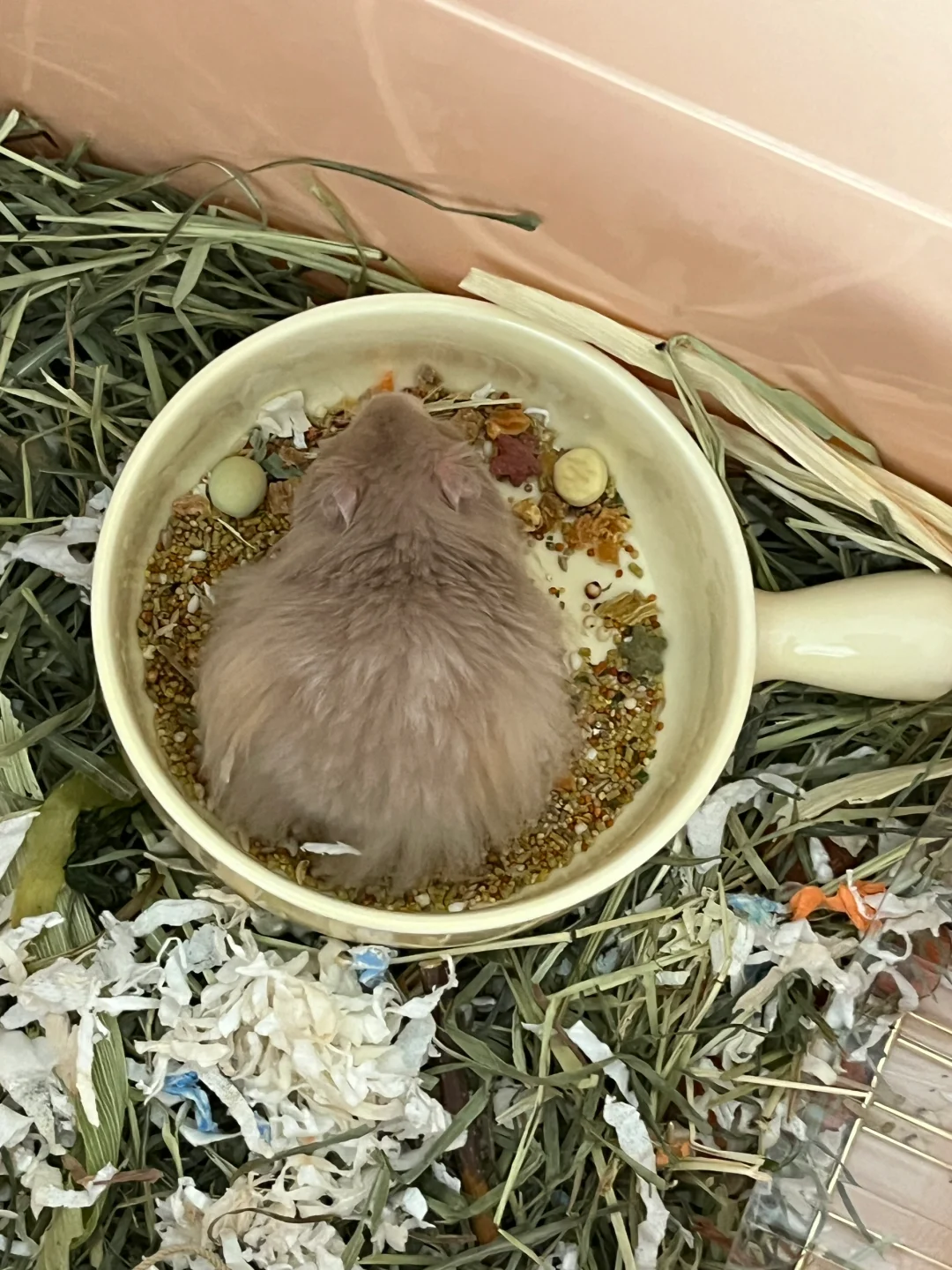 妈妈酱 这个饭盆是不是有点太大了呀