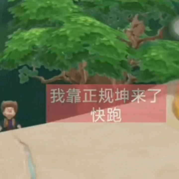 严肃保存^_^ 