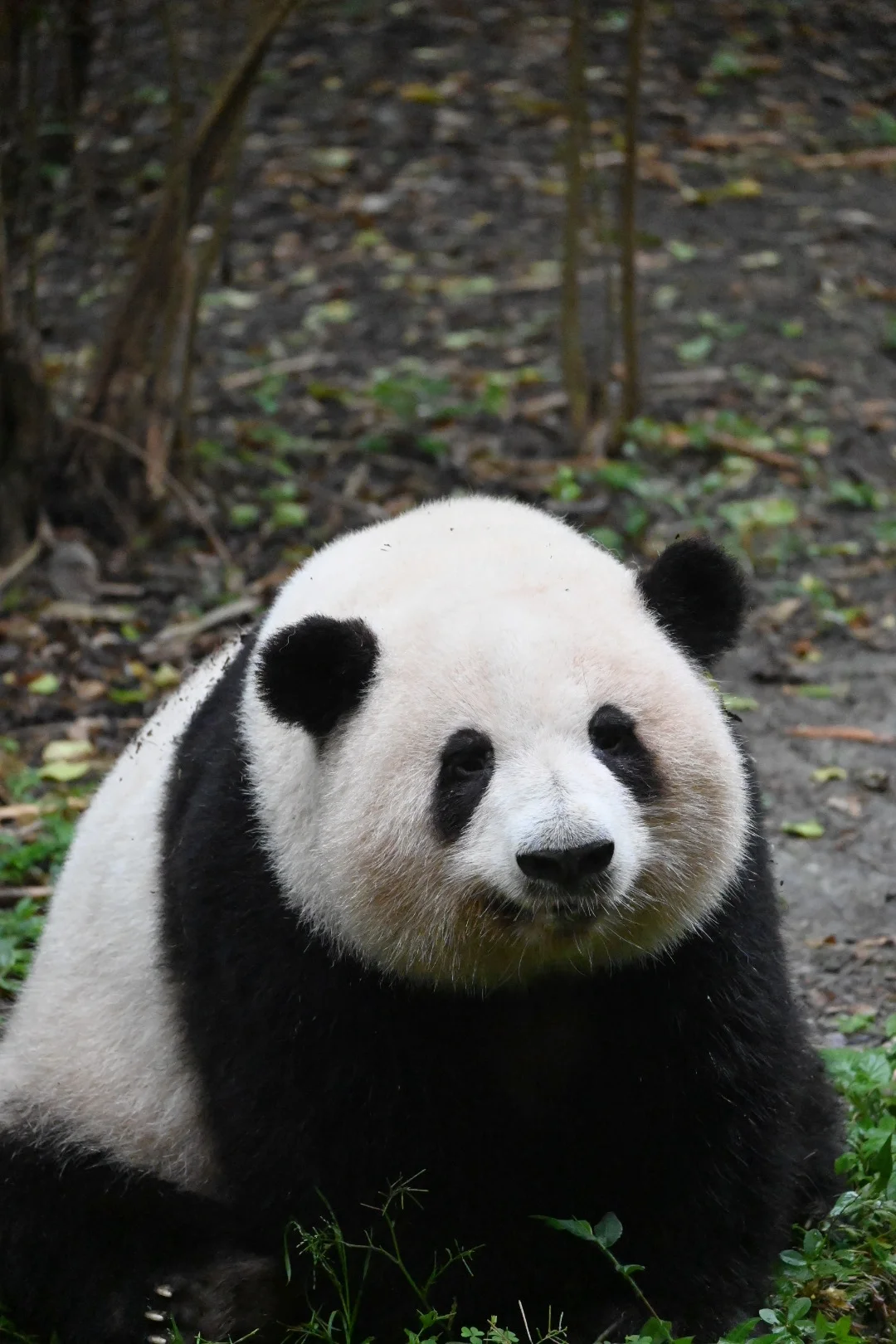 不管怎样，你要健康，要开心