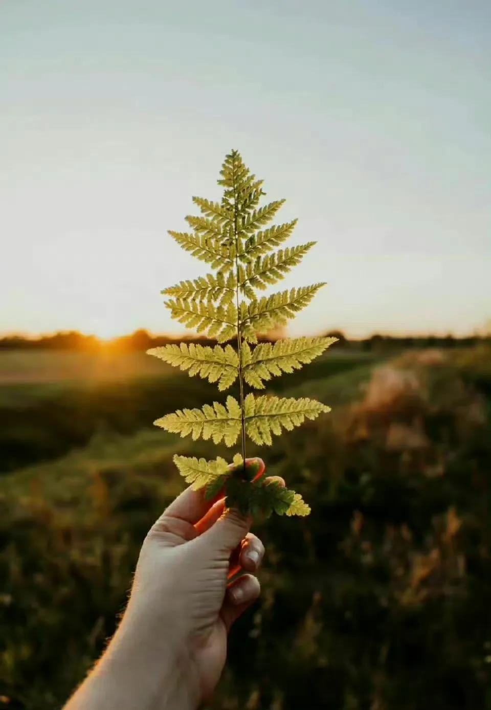 世界上最漂亮的事情有两种：
保持尊重跟距离，是世界上最美的东西。
内心忍辱是最美