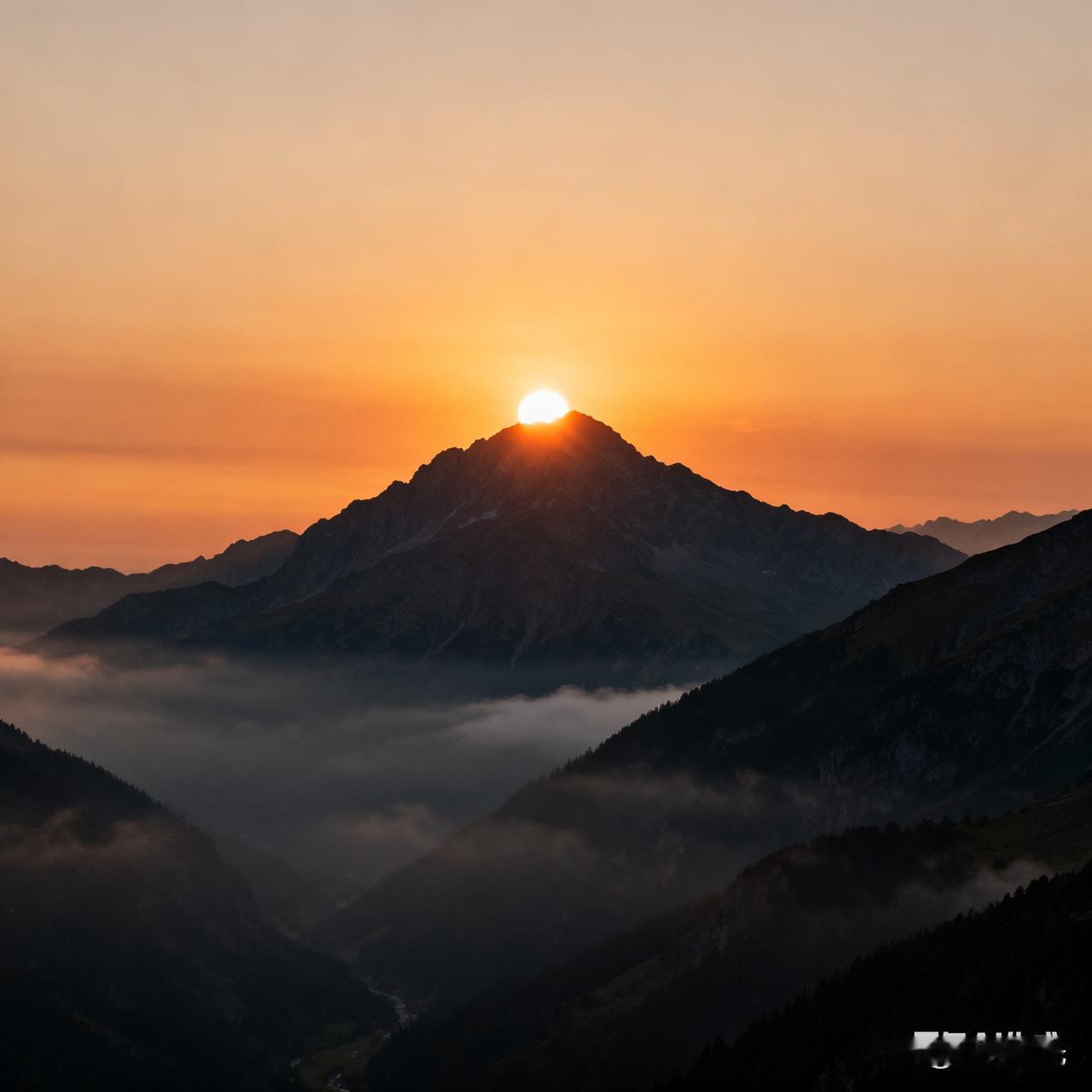 日出云海
 
山尖先衔住那轮暖金，云海便浸在熔金里。雾浪漫过峡谷，将群峰晕成淡墨