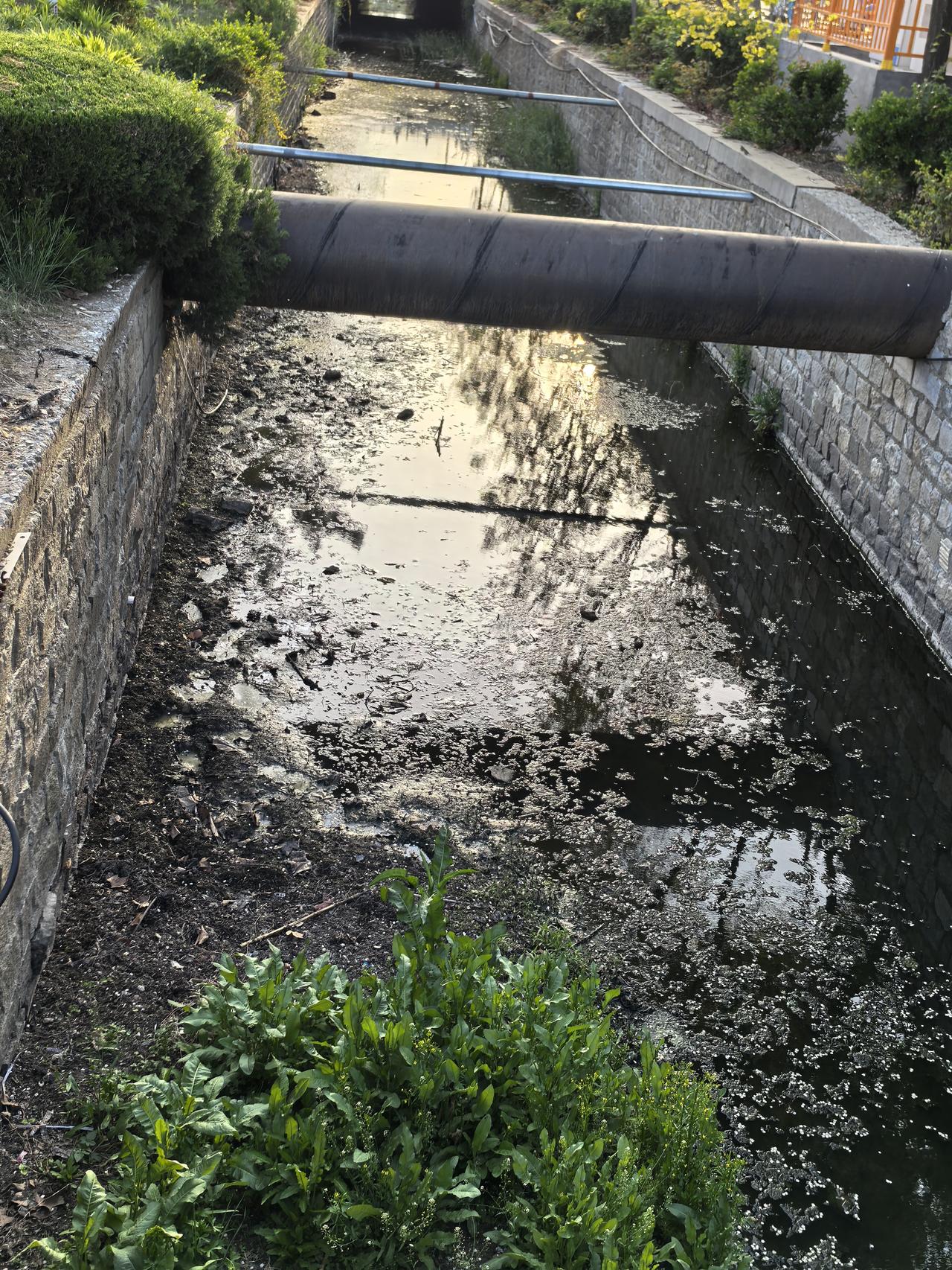 污水沟治理：从“城市伤疤”到“民生答卷”，市区污水沟恶臭刺鼻，不仅是环境问题，更