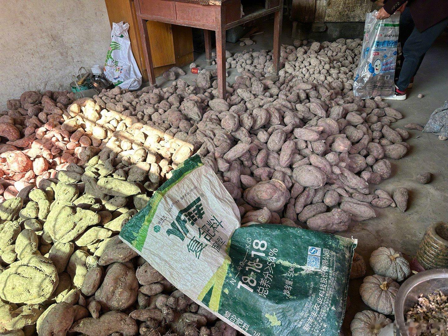 今天，和曾经同居三年的同事一起回柳城老家。中午见到了同事妈妈，十多年没有来过了，