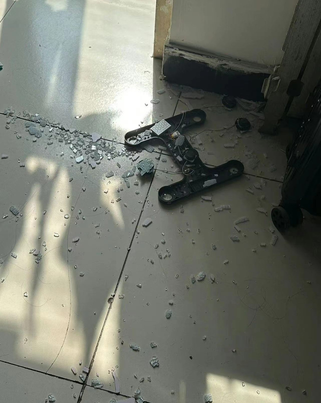体重秤没想到有这劫数等着它 ​​​