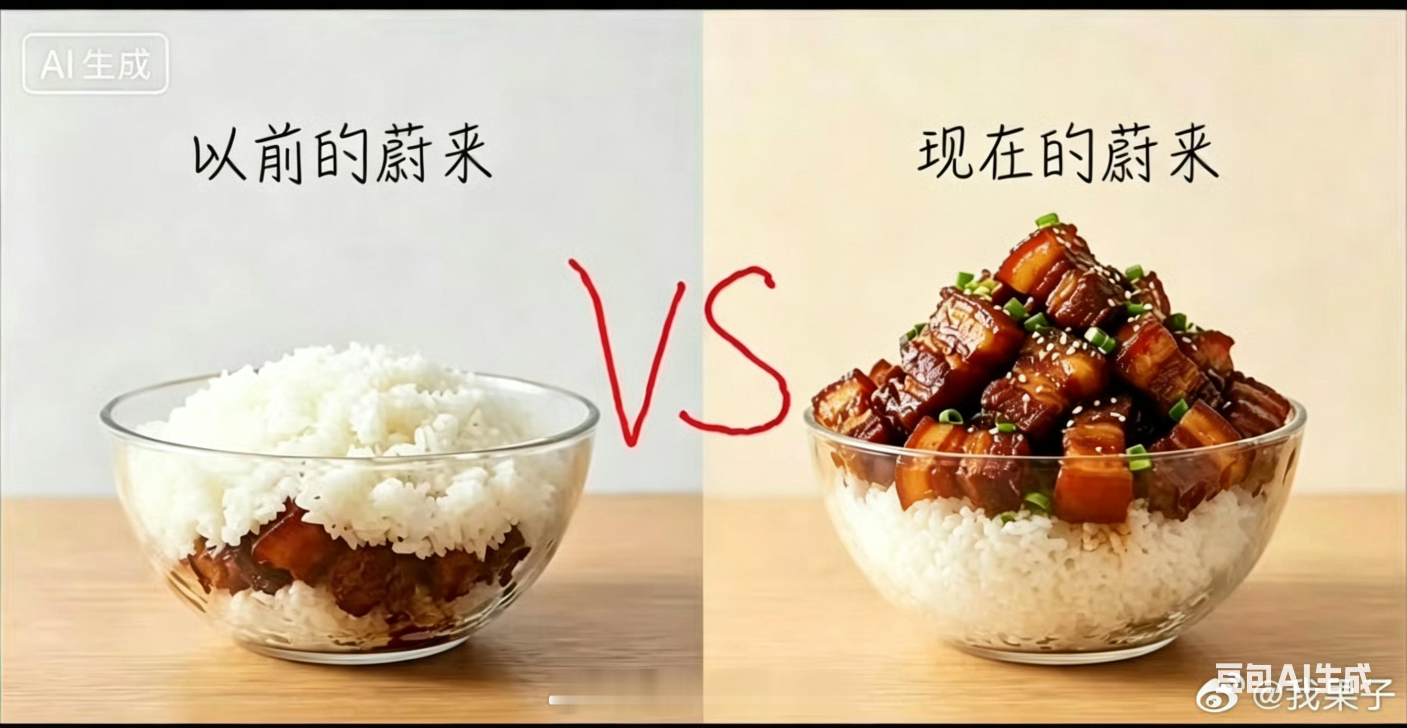 网上捡来的一张图，栩栩如生，不过我感觉还不太精准，右侧的图应该是饭上有肉，饭下也