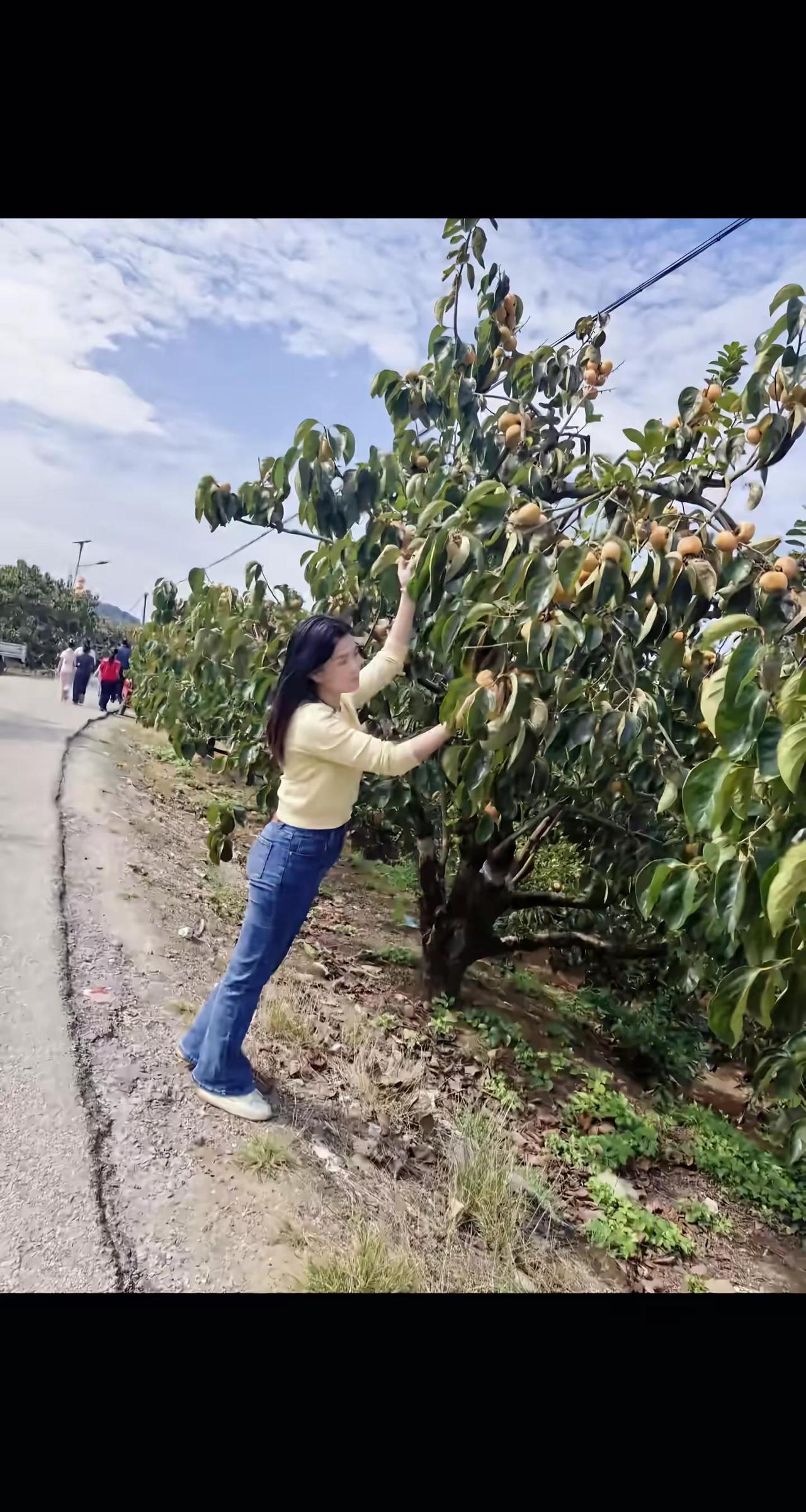 对啊，我是离婚了，可我不是坏女人。只是命不好而己，后半生可以晚嫁，也可以不嫁，但