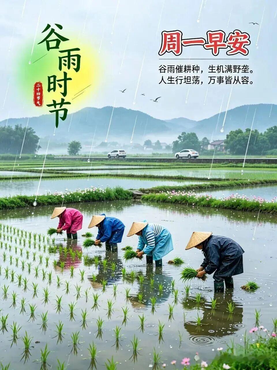 谷雨时节雨生百谷🌱，万物焕新🌿，食香椿🥢、赏牡丹🌸，愿春风润心田💐，细