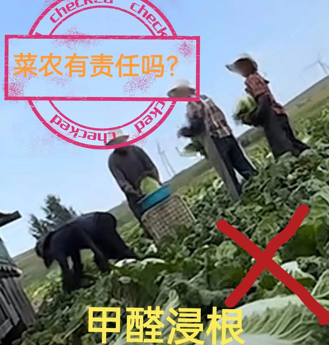 菜农有责任吗？

1、是不是大部分蘸药蔬菜，都得让菜农操作，他们不知道蘸药才会有