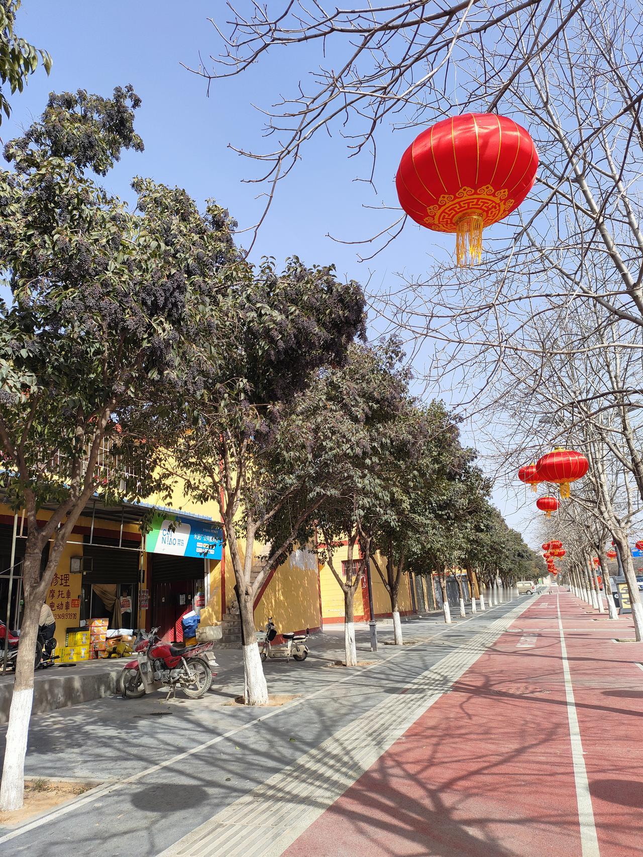 可以分享一张你拍的天空美照吗红灯笼把新春的喜，系在疏枝间；树影筛着晴光，在红路上