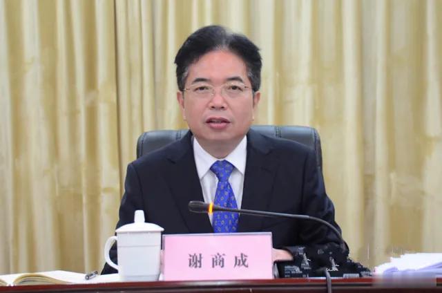 据官方信息披露，2020年7月，时任湖南溆浦县县长谢商成给时任怀化市委书记彭国甫