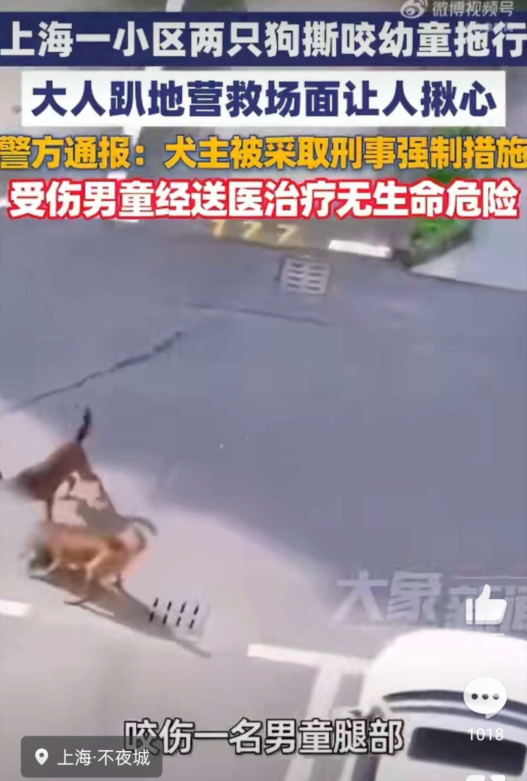 上海警方通报两犬撕咬幼童拖行这种大型犬不是禁养吗？但伤人事件时有发生，到底谁来监