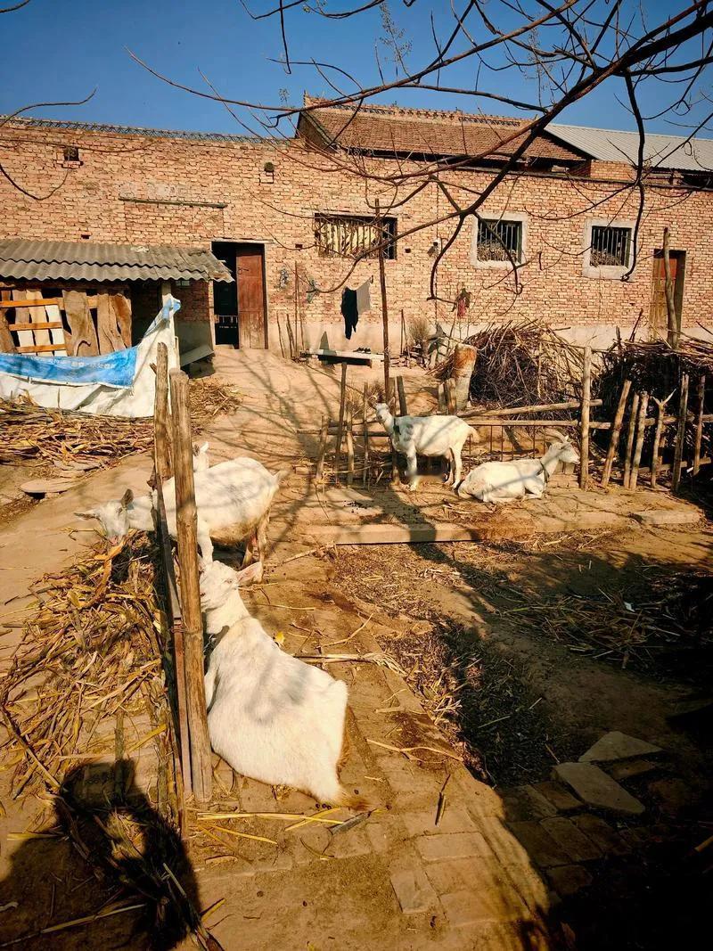 发现了吗？
很多中国父母好面子，借钱给别人挣面子，对自己家却抠抠搜搜的，勤外不勤