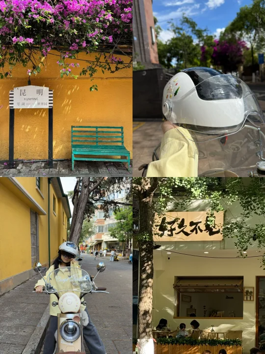 我和小狗的翠湖一日游citywalk路线