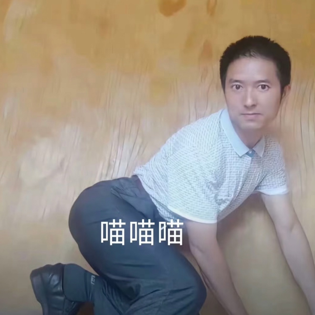 天天说什么不屑跟丽霞比，真到俩人比的时候嬲嬲被丽霞秒的渣都不剩🤡🤡🤡 