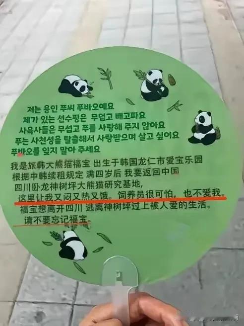恶心的南抄县又在炒作福宝的话题了。他们在南抄县大街随手发的小扇子。上面写着造谣抹