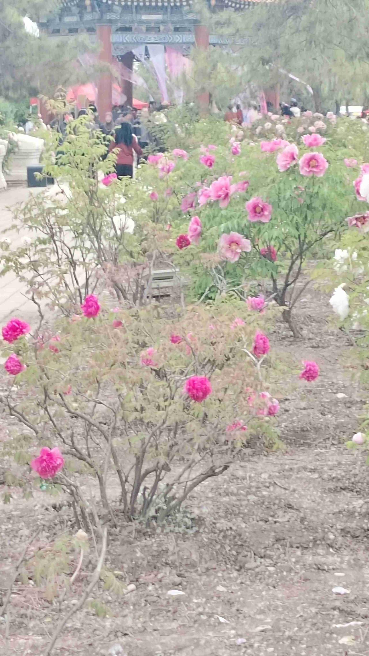 带定位晒今日生活 
我今日的状态：😁轻松惬意
我这儿的天气：🌤️多云滨河路的