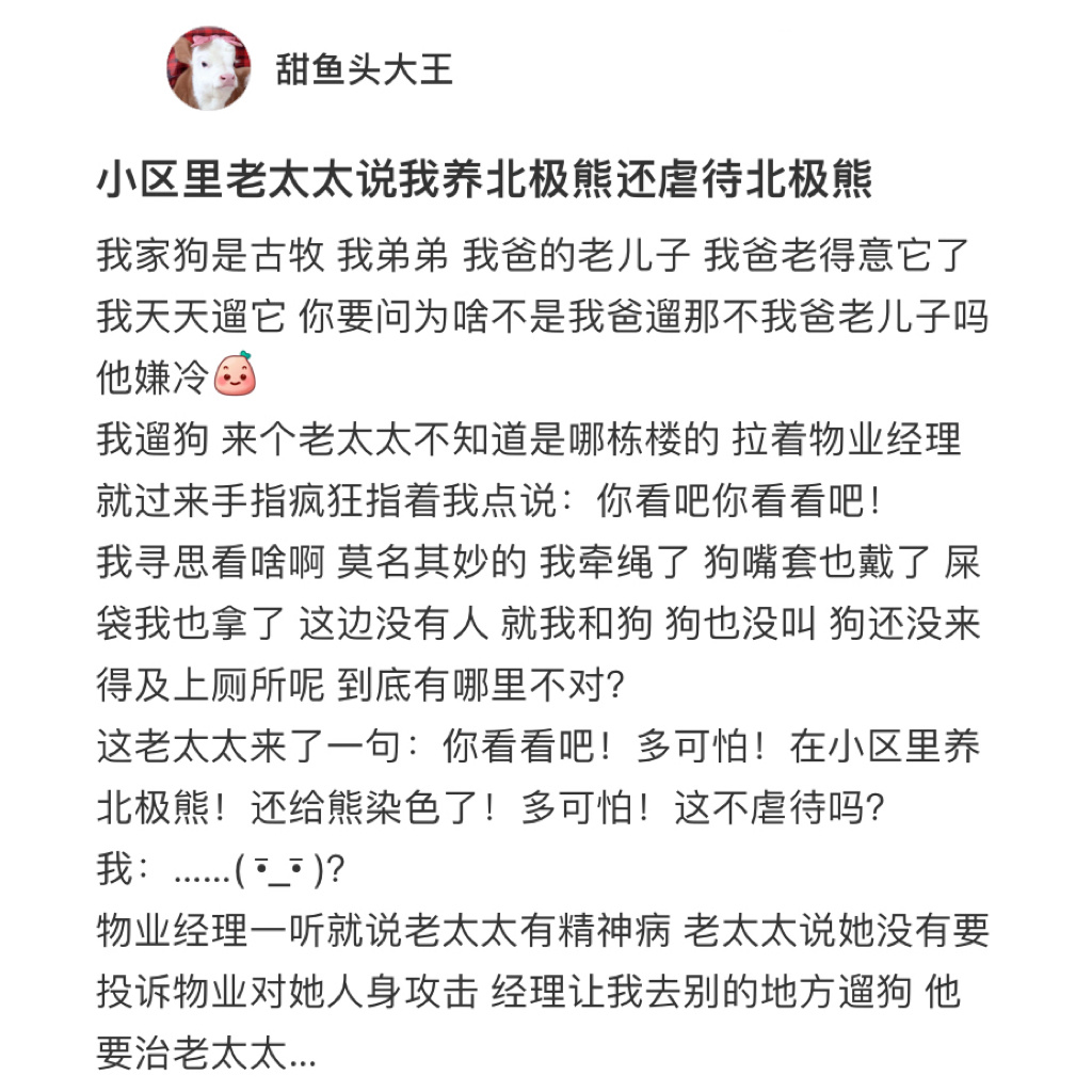 狗子：因为视力不详的路人失去真实身份 