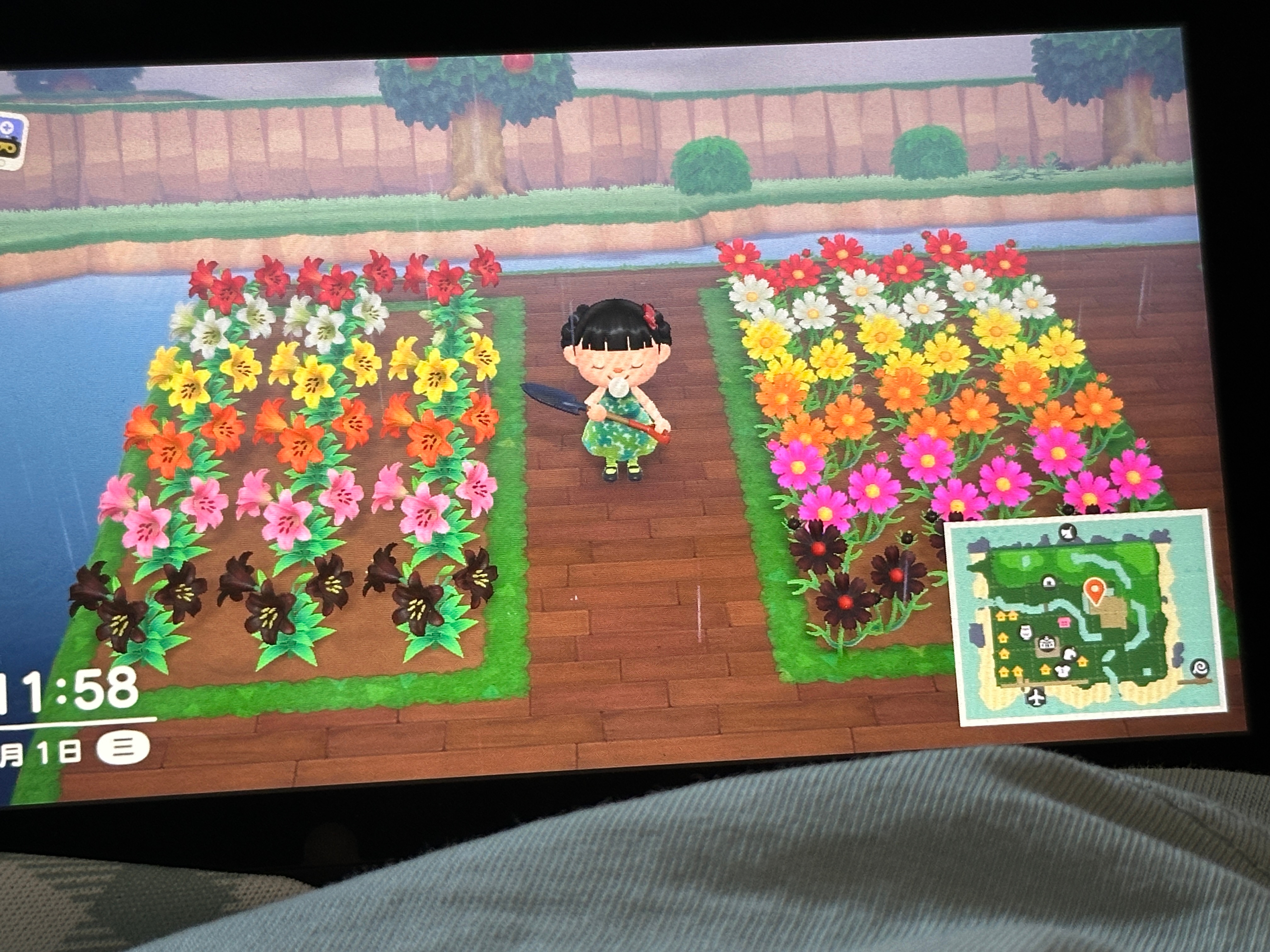 严肃培育花色中 