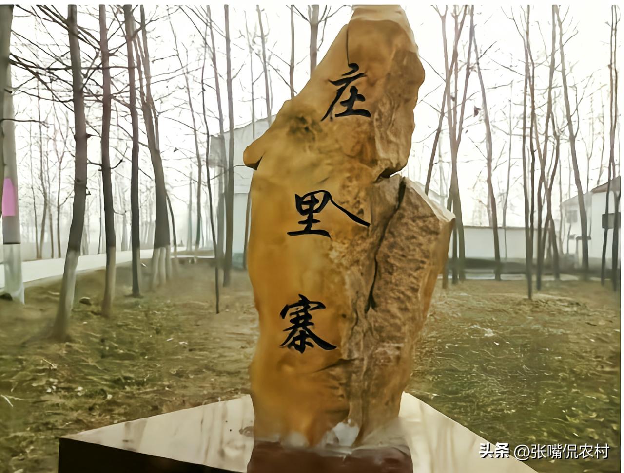 危难见真情，铜山区庄里寨村民，为重病乡亲撑起一片天
人间自有温情在。徐州市铜山区