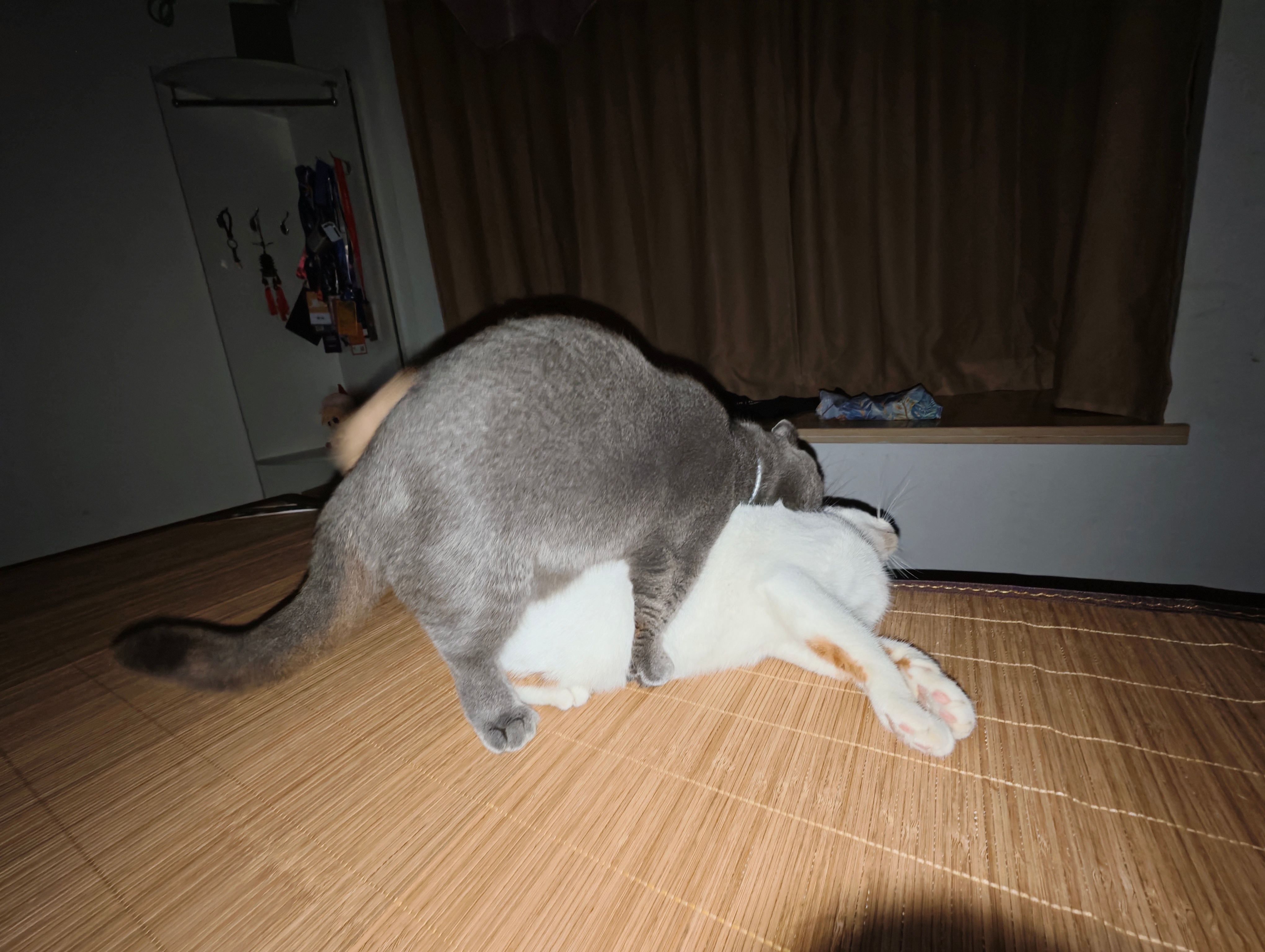 睡一半被吵醒，然后看到这 ​​​