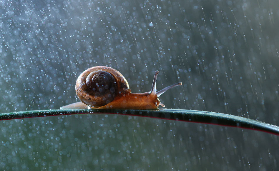 在这样一个充满缺陷的世界里，如若你能遇到真挚的朋友就好好珍惜吧。有时候，我们连对