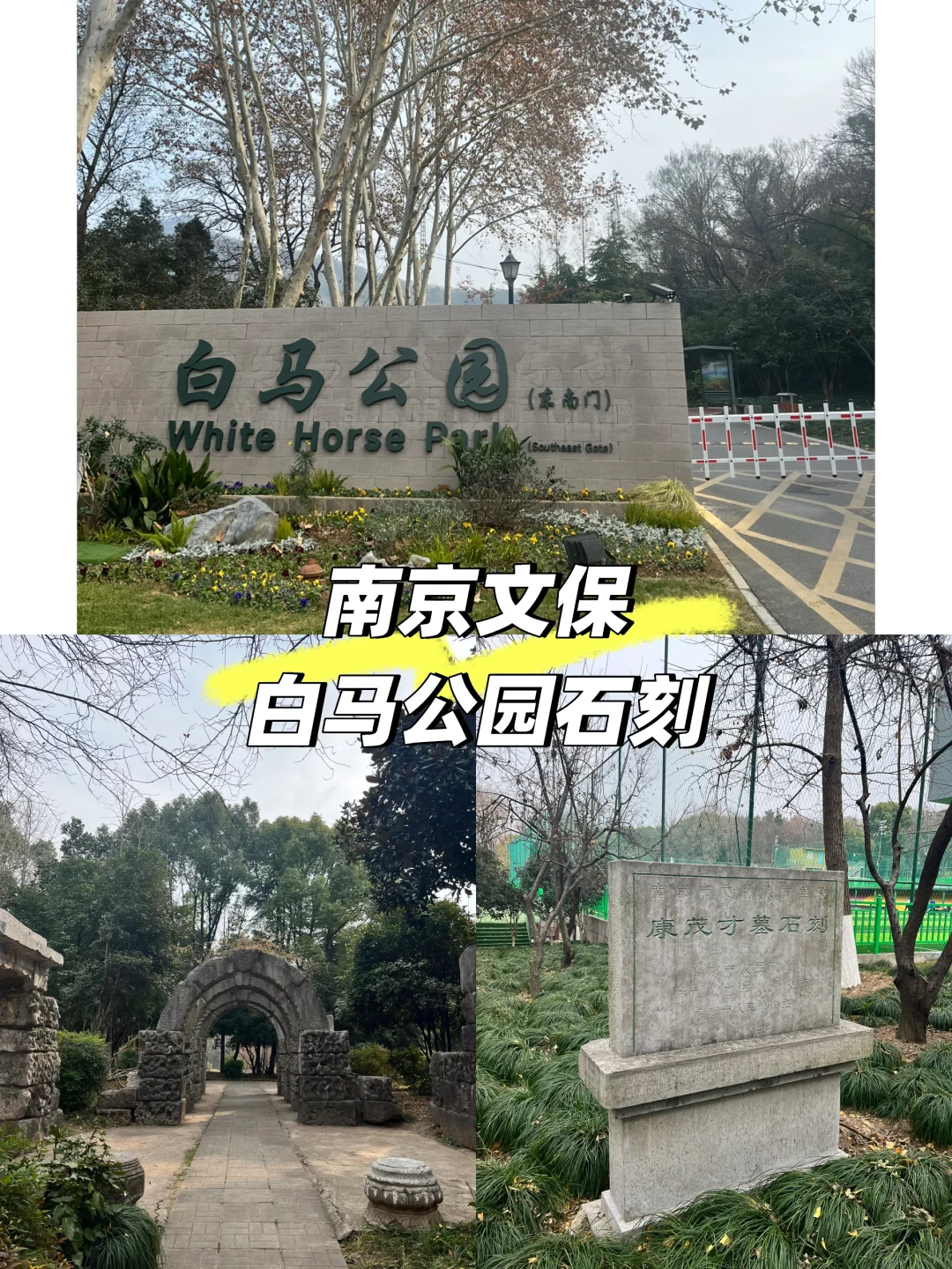 南京文保丨白马公园石刻