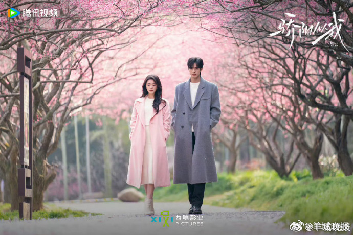 【哪部剧看完让你觉得瞬间进入活人状态】瞬间进入活人状态哪部剧让你看完不再内耗、充