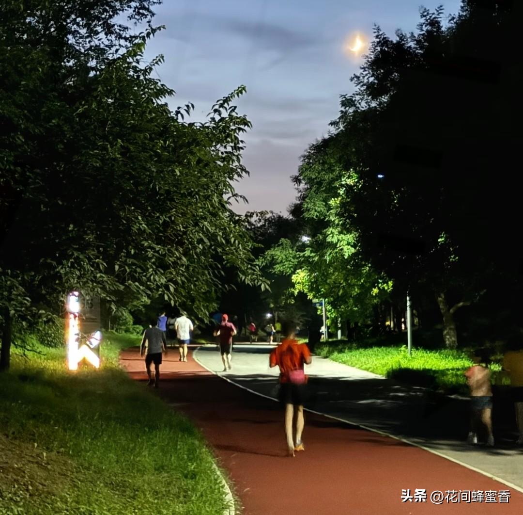 每天晚上步行一小时对身体有好处吗每晚步行一小时，能促进循环、改善睡眠、增强心肺功