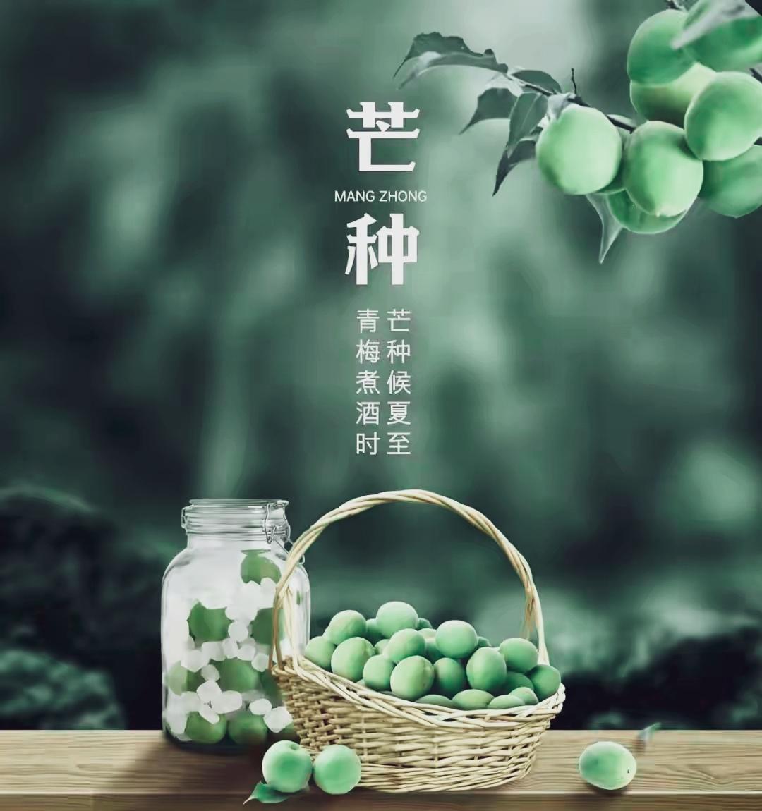 🌸
春争日，夏争时，
人生诸事，宜早不宜迟。

⌚
种梦想，趁现在，
静候下一