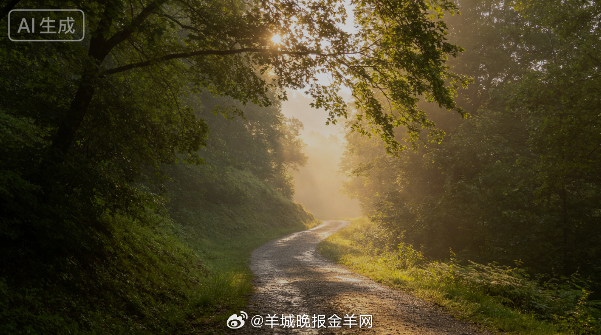 #早安# 清晨的阳光穿过林间枝叶，落在湿润的山径上，夏末的风还带着草木的清凉。沿
