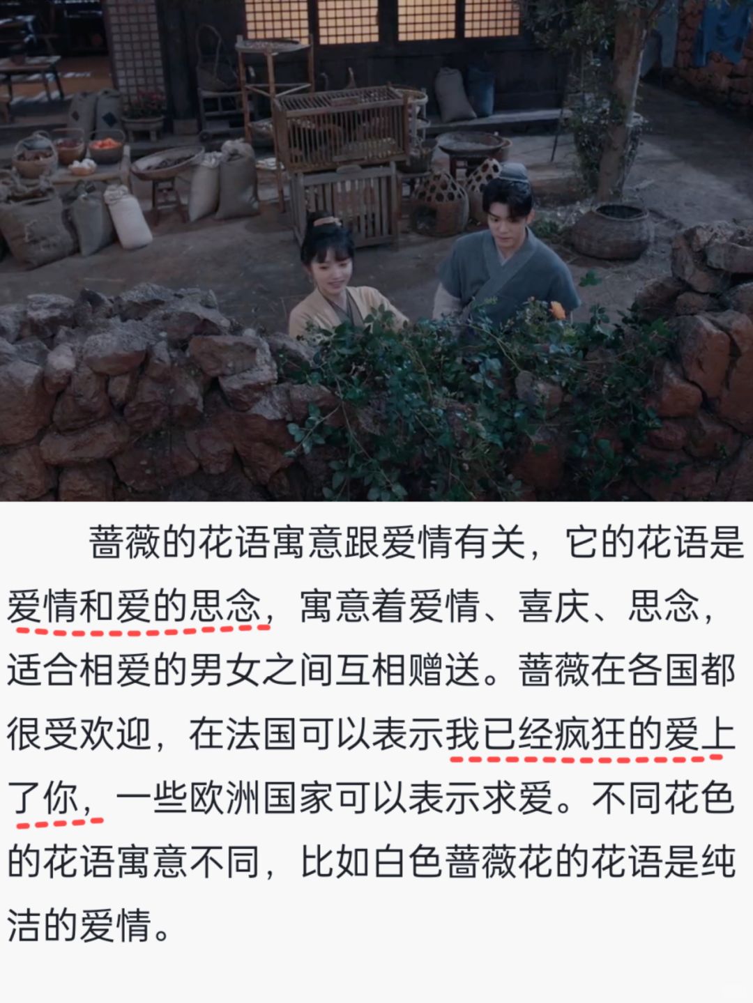 🆘沈诺，你就承认吧❗