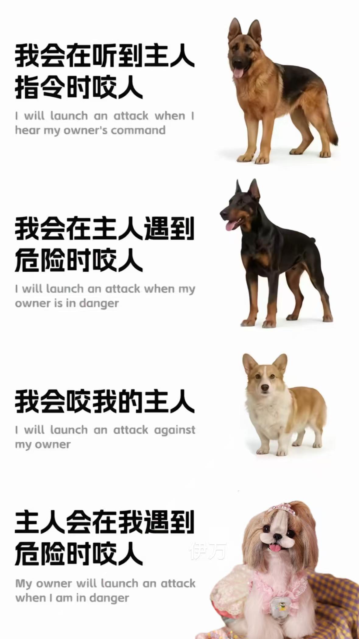 如果只能选一只 您选哪个走[抠鼻][抠鼻]