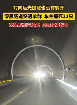 太让人憋屈了！深夜开车进漆黑隧道，被远光灯晃得瞬间致盲，根本看不清前路，来不及刹