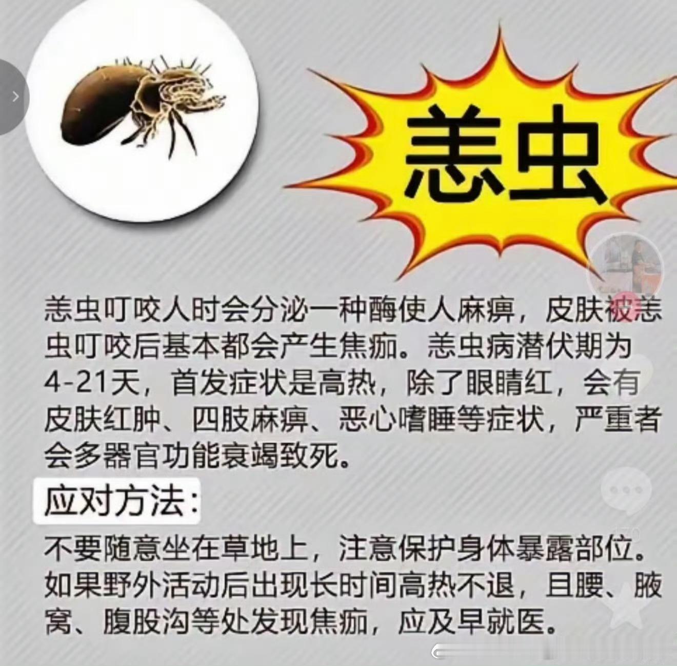 39岁博主被虫咬后感染离世又被科普到了 