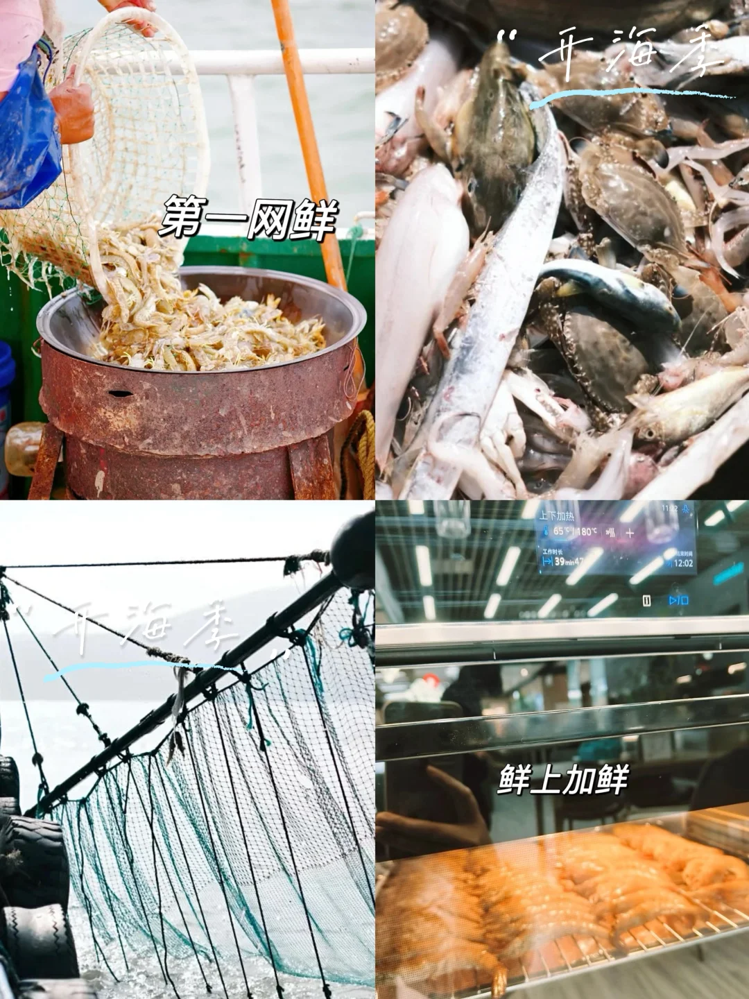 开海季追鲜实录🔥实现“第一网鲜”自由