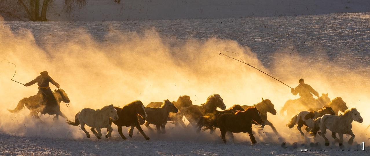 2026年元月10日-16日坝上马文化节摄影团欢迎参加