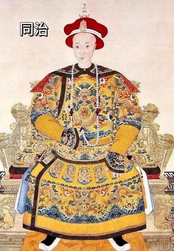 清穆宗同治帝载淳chún清朝第十位皇帝出身清朝皇室（咸丰帝独子）主要功绩：同治帝