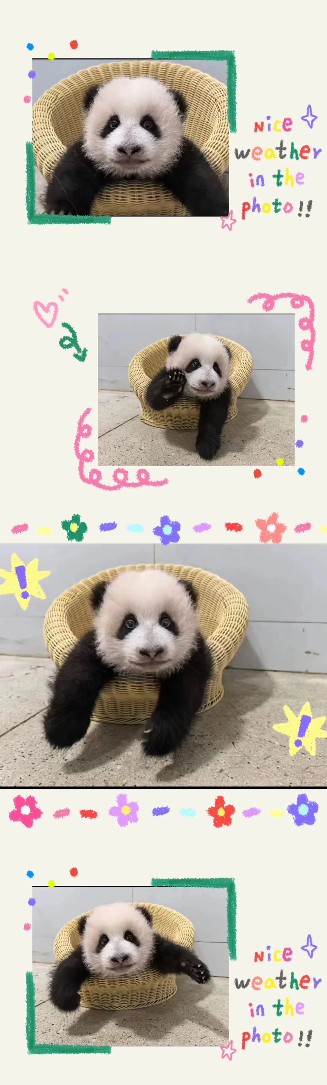 虫动新晋宝宝：“火辣有个性”