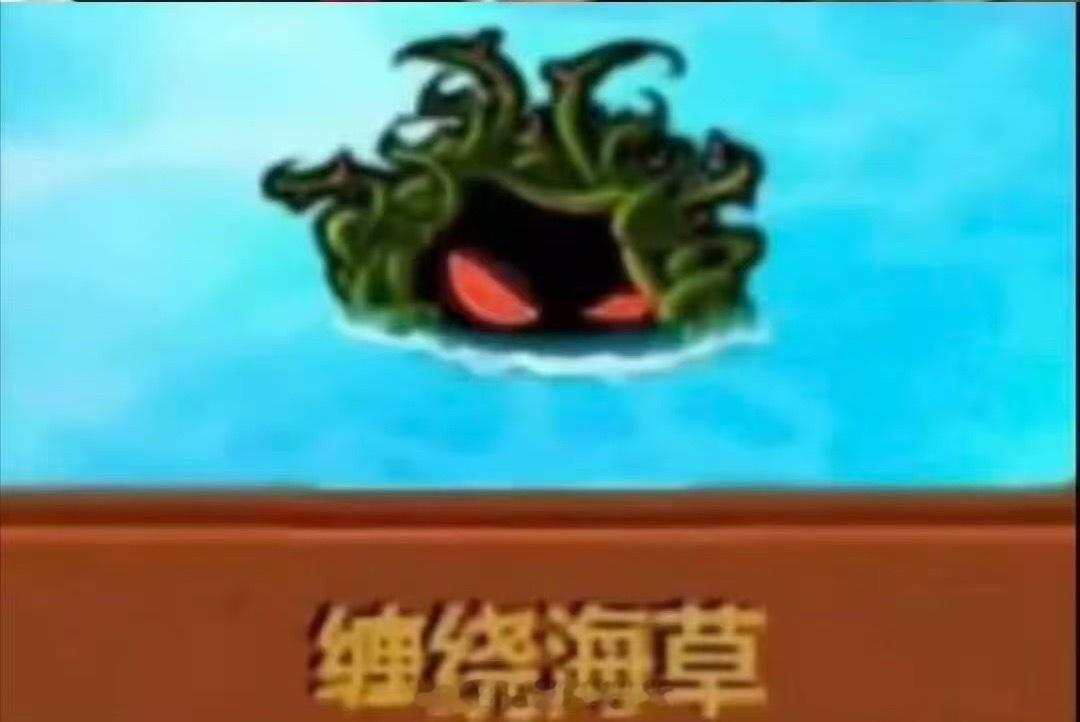 在一个无人在意的角落，缠绕海藻巧克力vlog已更新。。。 