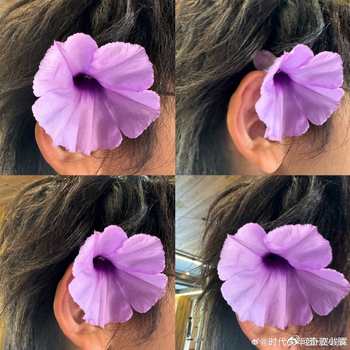 时团也到了赏花的年纪了时团愚人节赏花大赛时代少年团被时团可爱到！ 几小只愚人节集