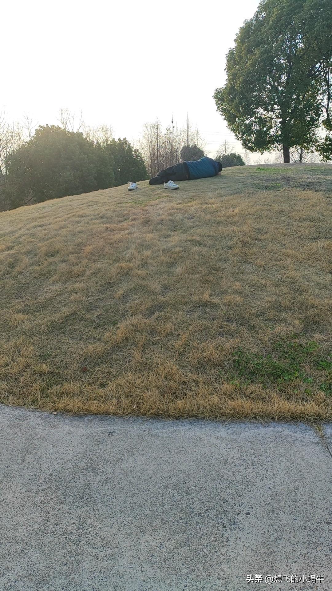 以天为被，以地为床，悠哉悠哉！睡得真香[奸笑]
​这么冷，睡这干嘛[what]