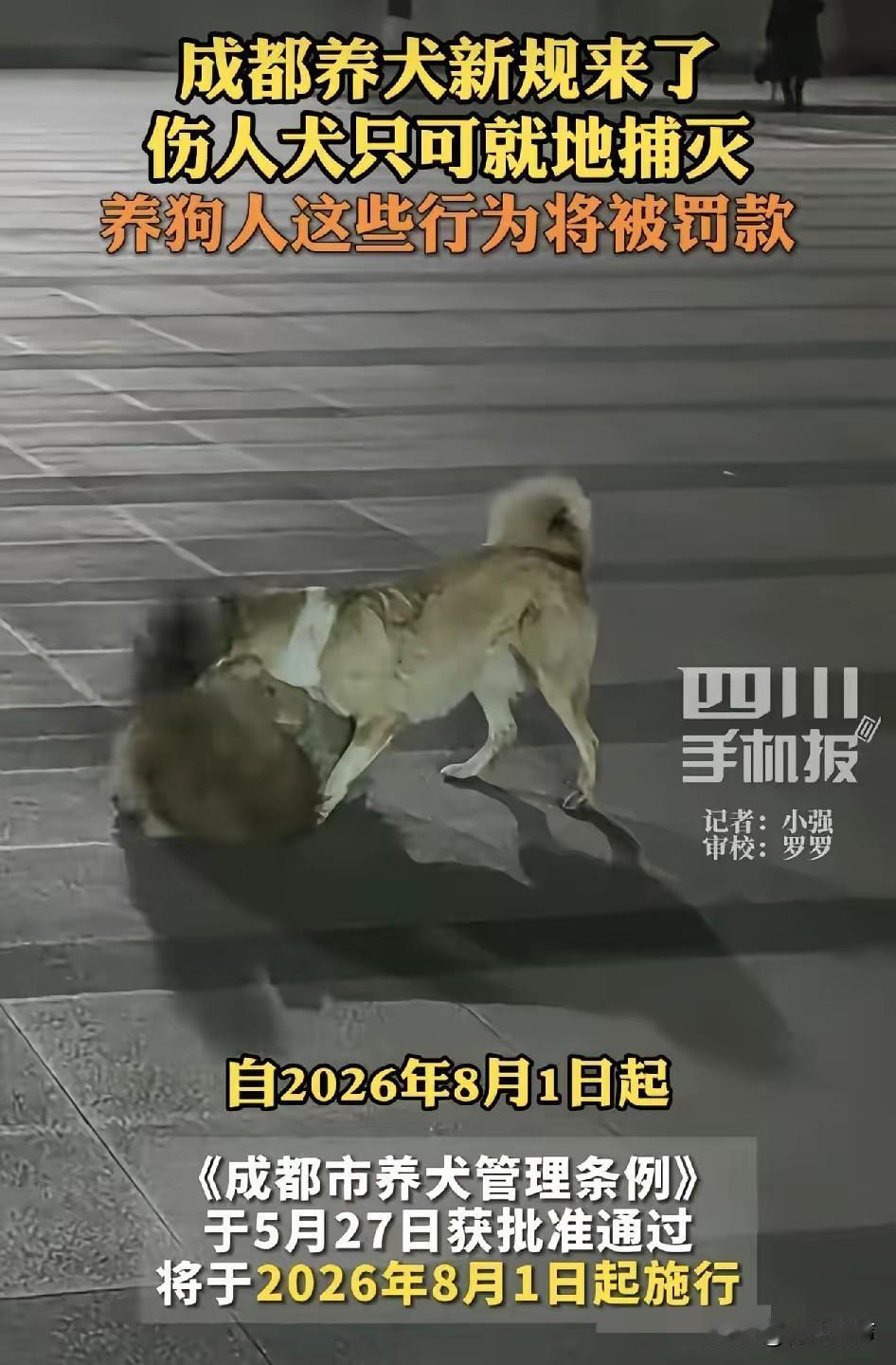 大家怎么看？5月27日成都养犬新规获批通过！8月1日起正式施行：遛狗不牵绳最高罚