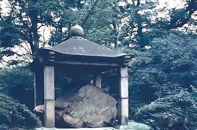 中国追索日本掠夺文物再添硬招！这一次，就是要让日方在国际社会无颜立足！
368份