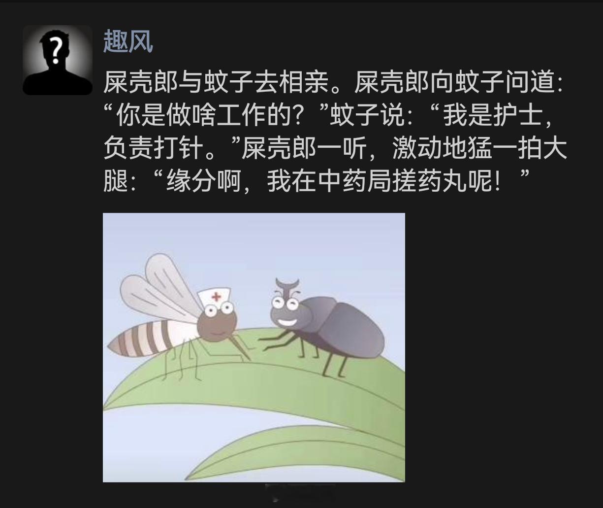 屎壳郎与蚊子的相亲趣事：缘分如此奇妙！ 