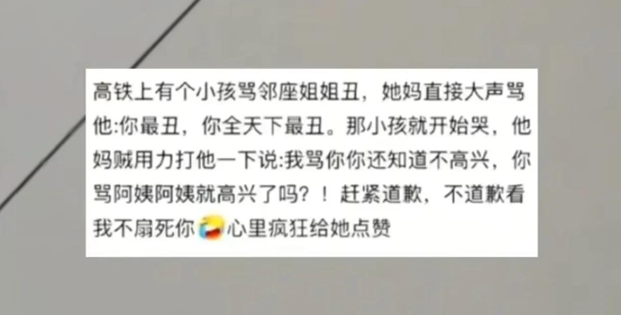 “这才是言传身教！”一名五六岁的小男孩当众大声吐槽邻座二十多岁的姐姐“长得好丑”
