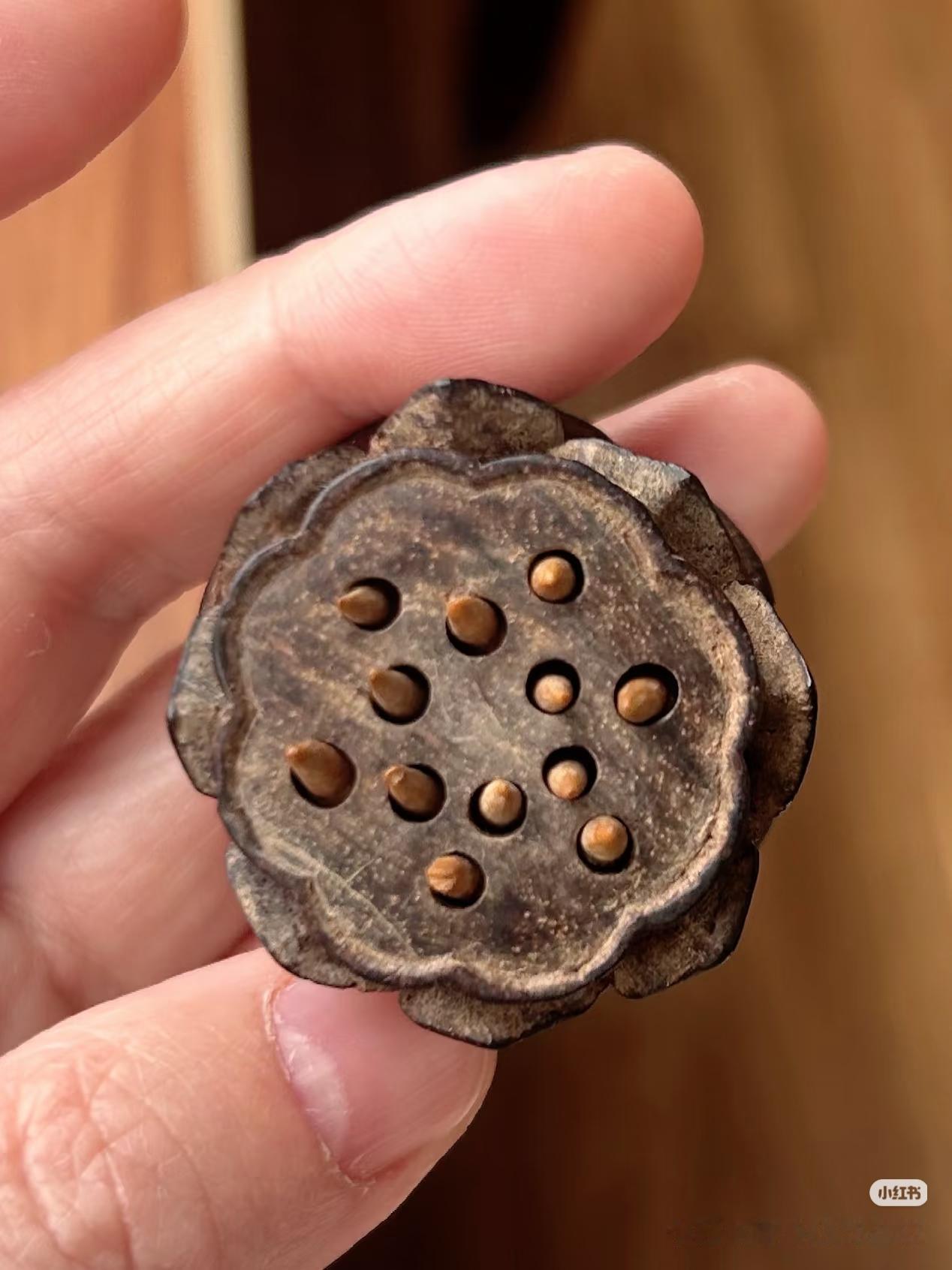 这带奌奌的木头疙瘩是啥老玩意儿啊？
 我翻出个超懵的老物件！圆乎乎的木头做的，表