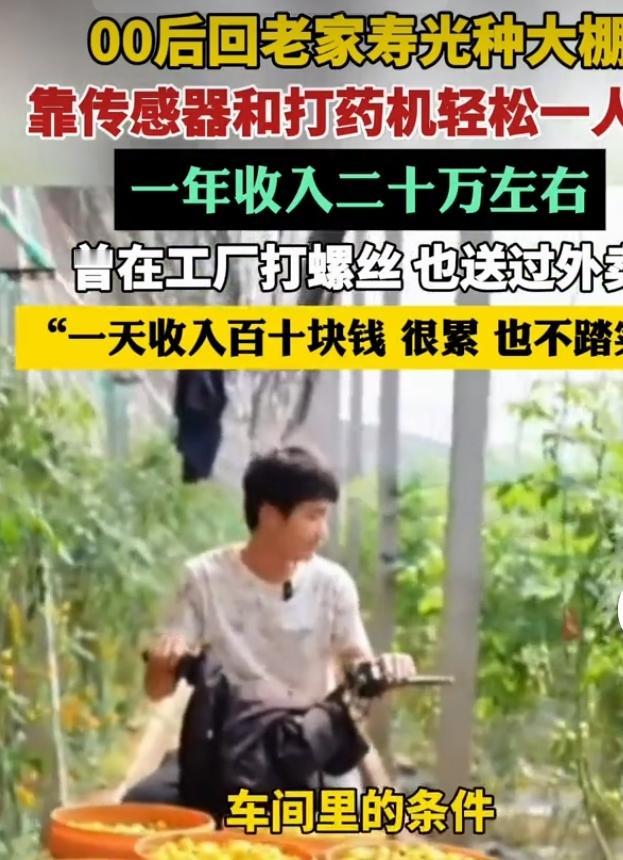 山东寿光00后小伙张玉山返乡经营蔬菜大棚，闯出了别样致富路。他此前进厂打工、外卖
