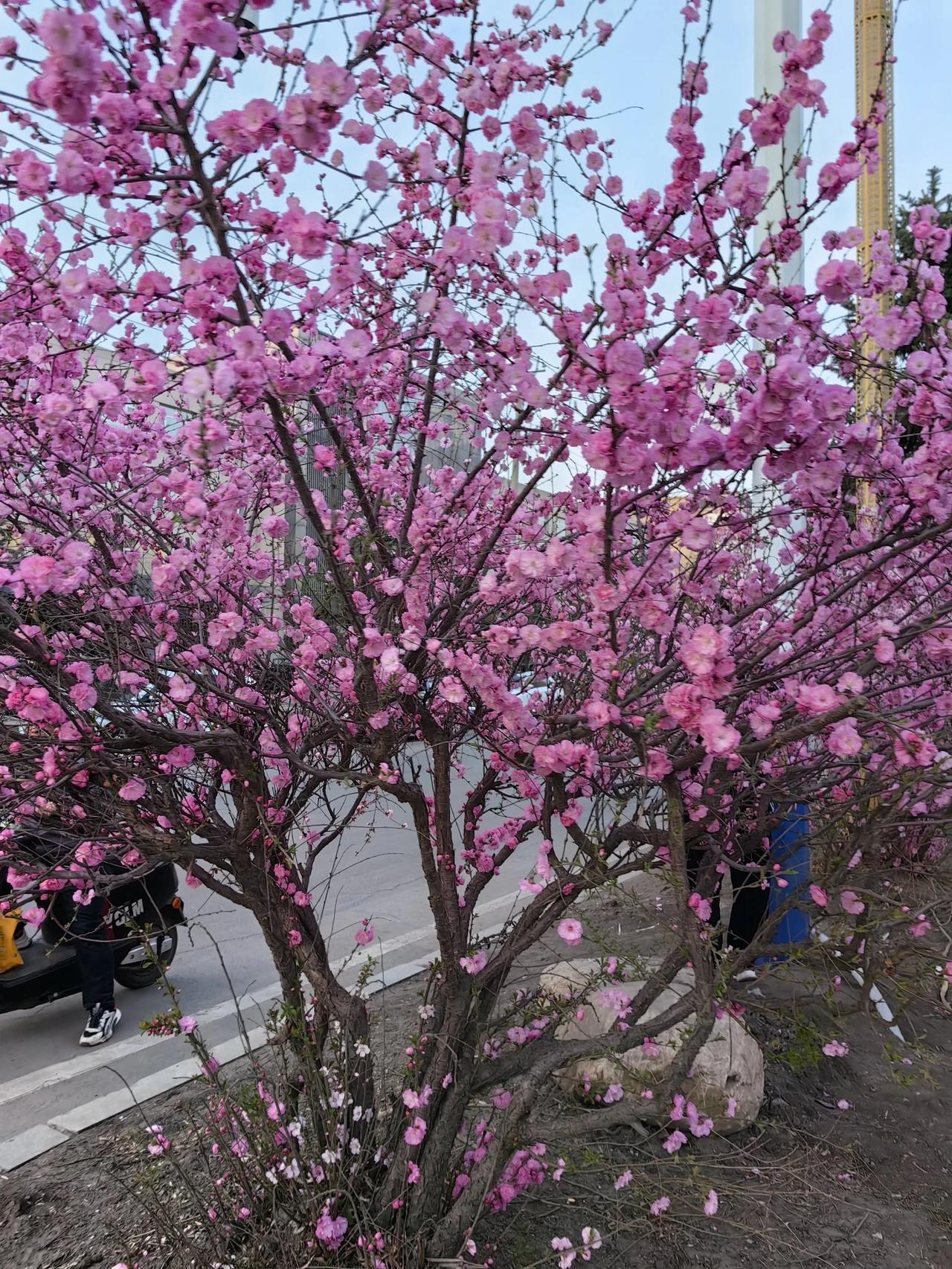 #县级公务员,哪些单位工资待遇高?#
公检法司，
政法委，
县级公务员工资界扛把